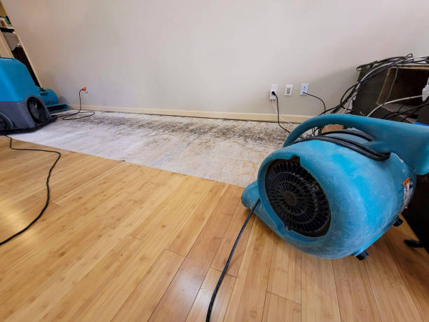 Professional Basement Flood Cleanup technician working in Redmond, WA
